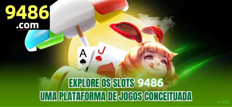 Suporte br333
